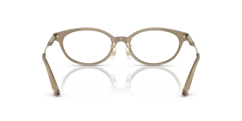 Transparent Brown - 0JC3029D 8056262239292