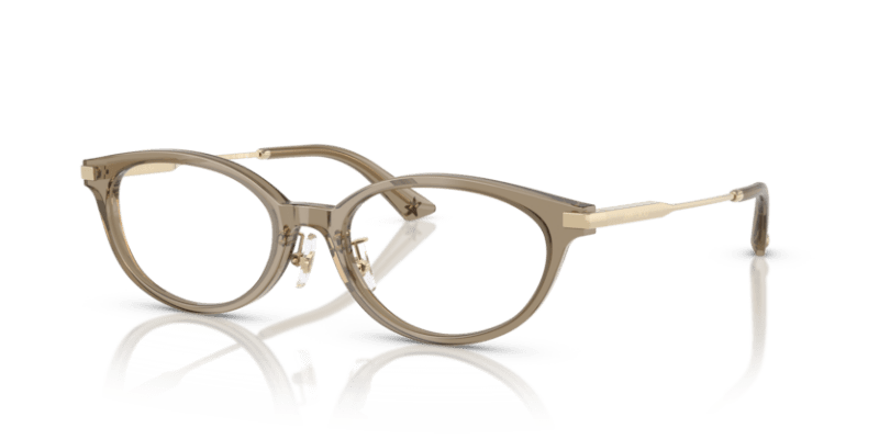 Transparent Brown - 0JC3029D 8056262239292