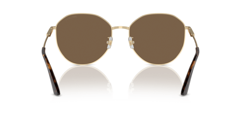 Havana/Pale Gold - 0JC4007BD 8056262050866 Jimmy Choo Sunglasses Woman Phantos