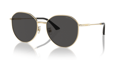 Black/Silver - 0JC4007BD 8056262050842 Jimmy Choo Sunglasses Woman Phantos