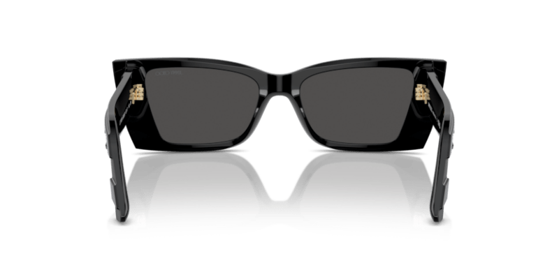 Havana - 0JC5009 8056262042595 Jimmy Choo Sunglasses Woman Rectangle