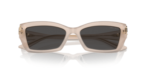 Silver - 0JC5011U 8056262030073 Jimmy Choo Sunglasses Woman Cat Eye