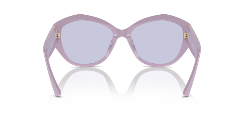 Havana - 0JC5013U 8056262044179 Jimmy Choo Sunglasses Woman Butterfly