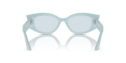 Havana - 0JC5015U 8056262050941 Jimmy Choo Sunglasses Woman Oval