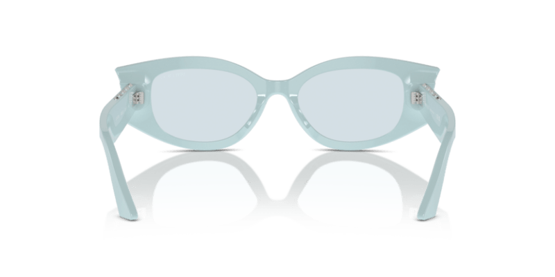 Havana - 0JC5015U 8056262050941 Jimmy Choo Sunglasses Woman Oval