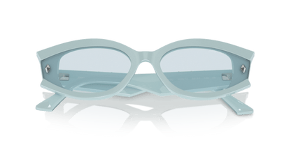 Havana - 0JC5015U 8056262050941 Jimmy Choo Sunglasses Woman Oval