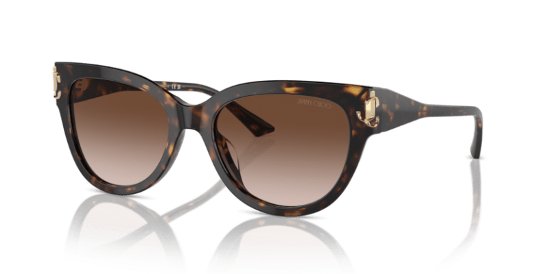 Black - 0JC5018U 8056262057339 Jimmy Choo Sunglasses Woman Phantos