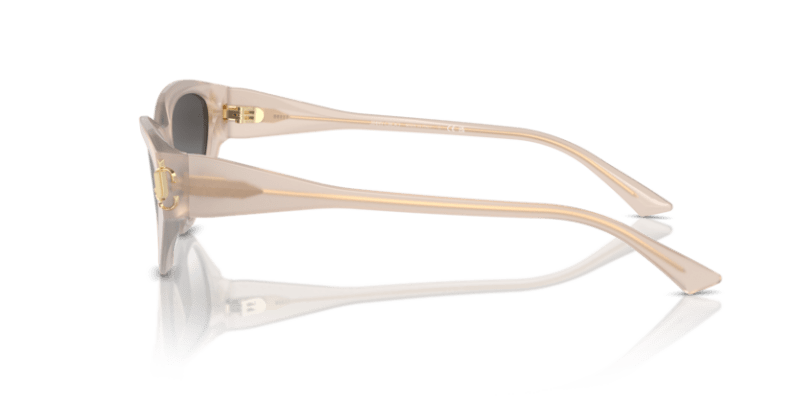 Violet - 0JC5019 8056262056950 Jimmy Choo Sunglasses Woman Cat Eye