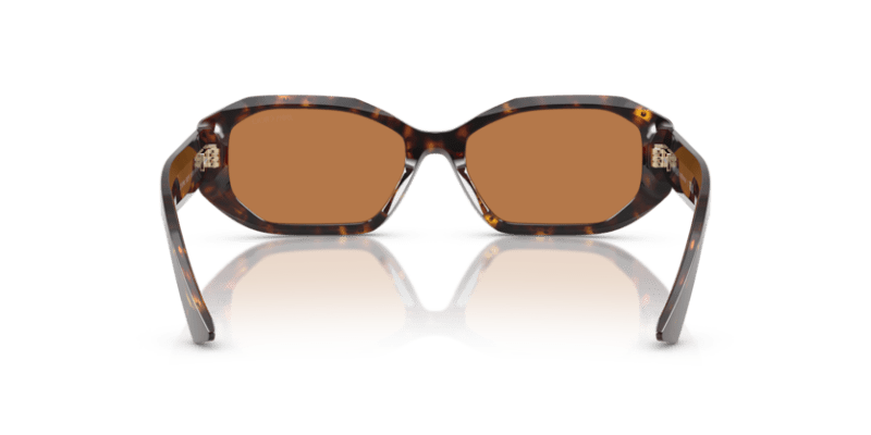 Havana/Silver Shade - 0JC5021BU 8056262233740