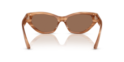 Striped Havana Glitter Brown - 0JC5022B 8056262235034