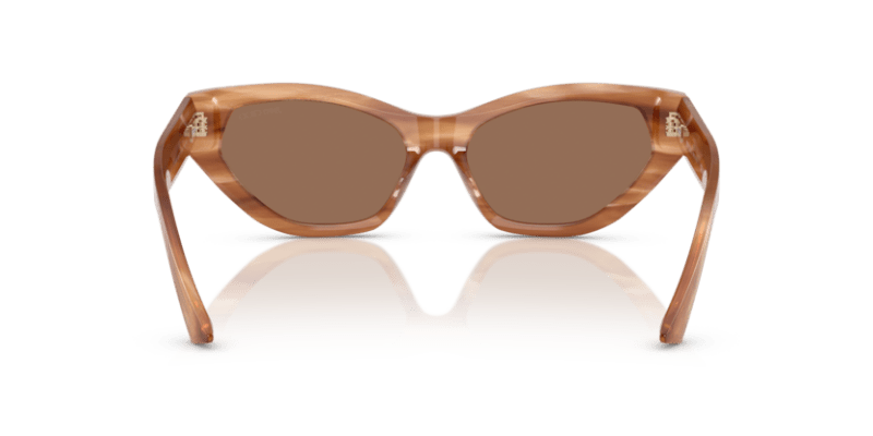 Striped Havana Glitter Brown - 0JC5022B 8056262235034