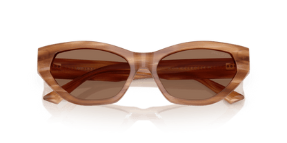 Striped Havana Glitter Brown - 0JC5022B 8056262235034