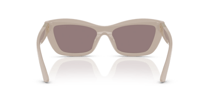 Ash - 0JC5030U 8056262230749