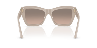 Ash - 0JC5031 8056262231593