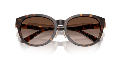 Havana - 0JC5032D 8056262239933