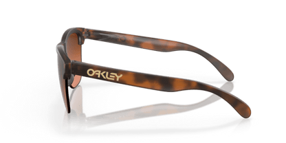 Matte Brown Tortoise - 0OO9374 888392585530