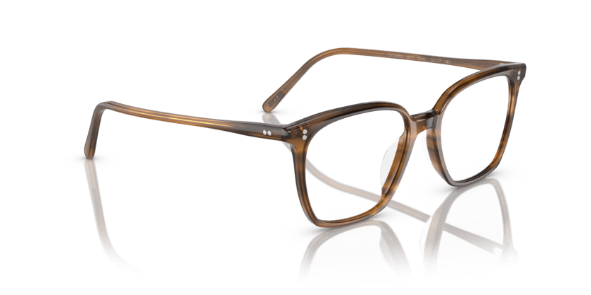 0OV5488U - Oliver Peoples - Brown - (Raintree 1011) - 50 - 17 - 145 MM - Ardor Eyewear 827934505650