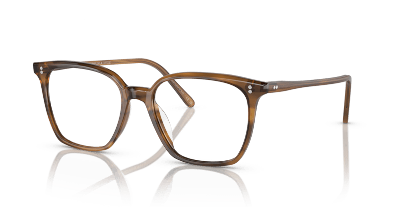 0OV5488U - Oliver Peoples - Brown - (Raintree 1011) - 50 - 17 - 145 MM - Ardor Eyewear 827934505650