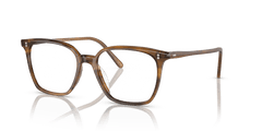 0OV5488U - Oliver Peoples - Brown - (Raintree 1011) - 50 - 17 - 145 MM - Ardor Eyewear 827934505650