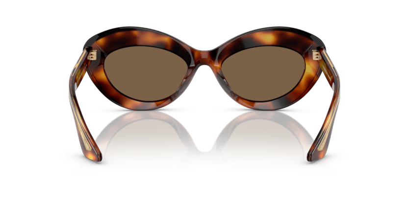 0OV5523SU - Oliver Peoples - (Dark Mahogany) Brown - 53 - 19 - 145 MM - Ardor Eyewear 827934499690