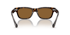 0OV5540SU - Oliver Peoples - (362) True Brown - 53 - 19 - 145 MM - Ardor Eyewear 827934501331