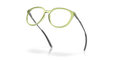 Polished Transparent Fern - 0OX8150 888392620101