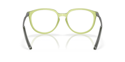 Polished Transparent Fern - 0OX8150 888392620101