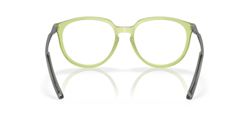 Polished Transparent Fern - 0OX8150 888392620101