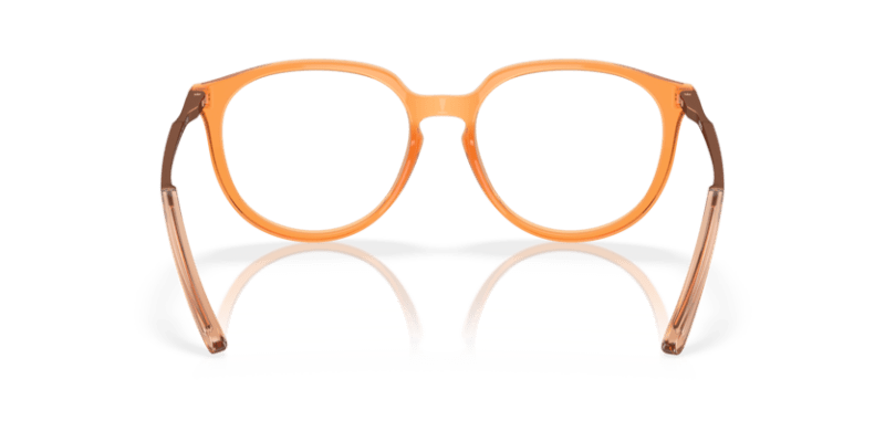 Polished Transparent Ginger - 0OX8150 888392620088