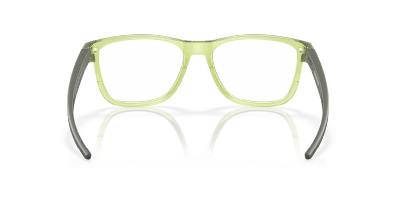 Polished Transparent Fern - 0OX8163 888392620750