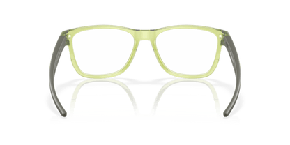 Polished Transparent Fern - 0OX8163 888392620750