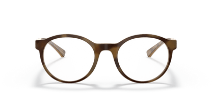 Satin Brown Tortoise - 0OX8176 888392557162