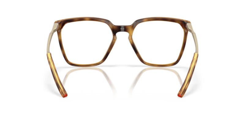 Polished Brown Tortoise - 0OX8189 888392644435