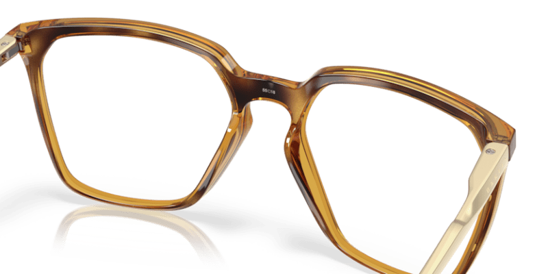 Polished Brown Tortoise - 0OX8189 888392644435