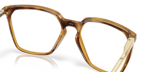 Polished Brown Tortoise - 0OX8189 888392644435