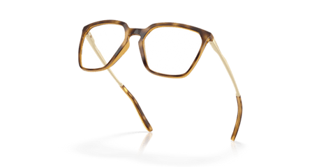 Polished Brown Tortoise - 0OX8189 888392644435