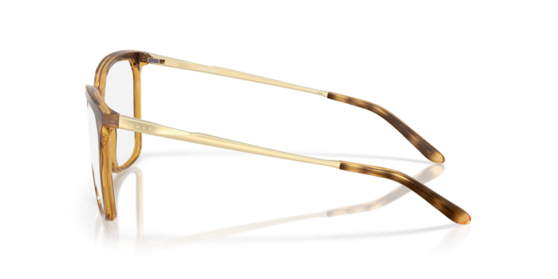 Polished Brown Tortoise - 0OX8189 888392644435