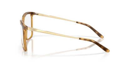 Polished Brown Tortoise - 0OX8189 888392644435