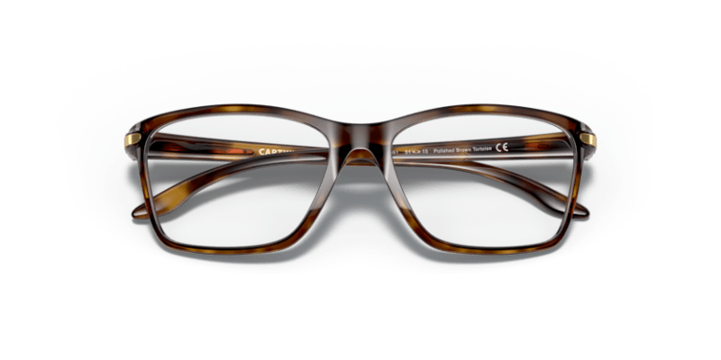 Polished Brown Tortoise - 0OY8010 888392565457