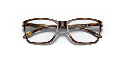 Polished Brown Tortoise - 0OY8010 888392565457
