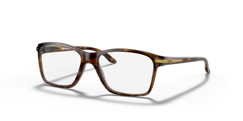 Polished Brown Tortoise - 0OY8010 888392565457