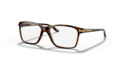 Polished Brown Tortoise - 0OY8010 888392565457