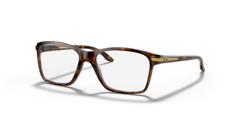 Polished Brown Tortoise - 0OY8010 888392565457