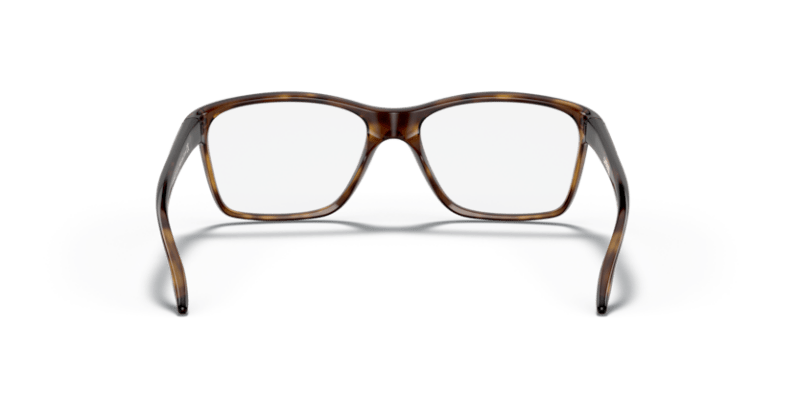 Polished Brown Tortoise - 0OY8010 888392565457