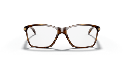 Polished Brown Tortoise - 0OY8010 888392565457