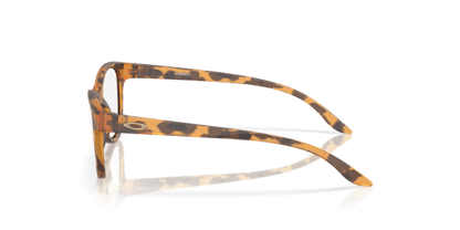 Matt Ginger Tortoise - 0OY8022 888392647443
