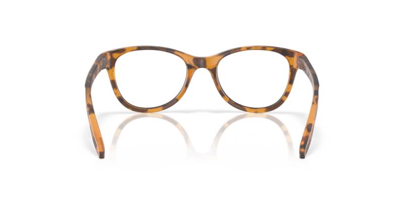 Matt Ginger Tortoise - 0OY8022 888392647443