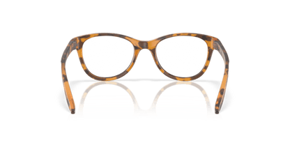 Matt Ginger Tortoise - 0OY8022 888392647443