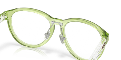 Polished Transparent Fern - 0OY8027D 888392647450