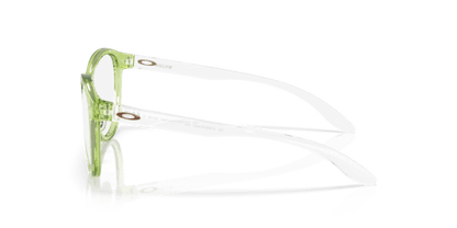 Polished Transparent Fern - 0OY8027D 888392647450